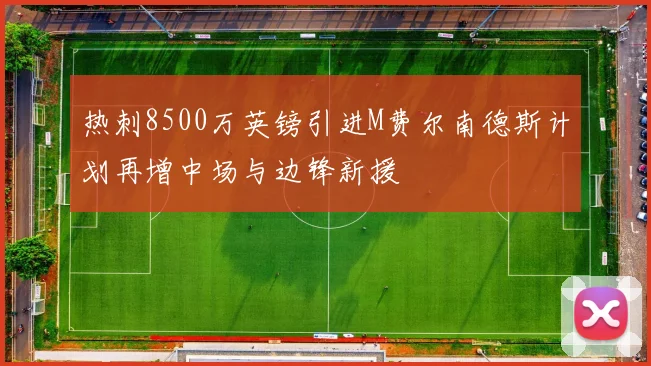 热刺8500万英镑引进M费尔南德斯计划再增中场与边锋新援