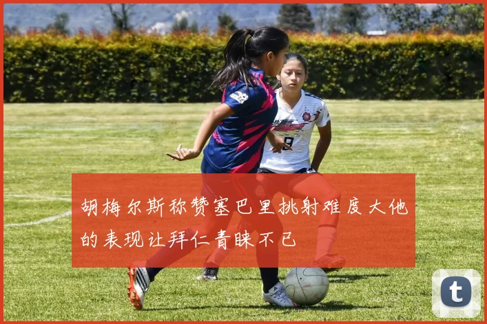 胡梅尔斯称赞塞巴里挑射难度大他的表现让拜仁青睐不已