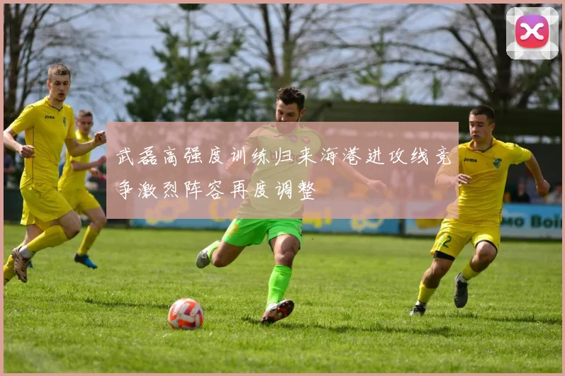 武磊高强度训练归来海港进攻线竞争激烈阵容再度调整
